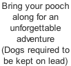 Bring your pooch  along for an  unforgettable  adventure (Dogs required to  be kept on lead)